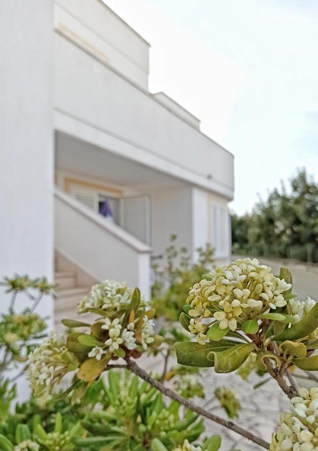 Residence Bellevue Santa Maria di Leuca Exterior photo